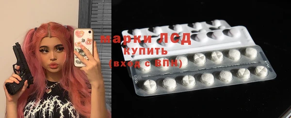 PSILOCYBIN Алзамай
