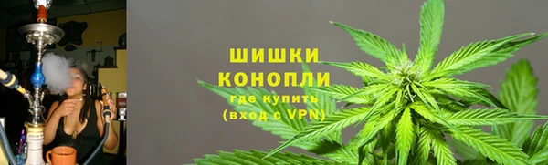 PSILOCYBIN Алзамай