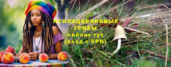 крисы Алексин