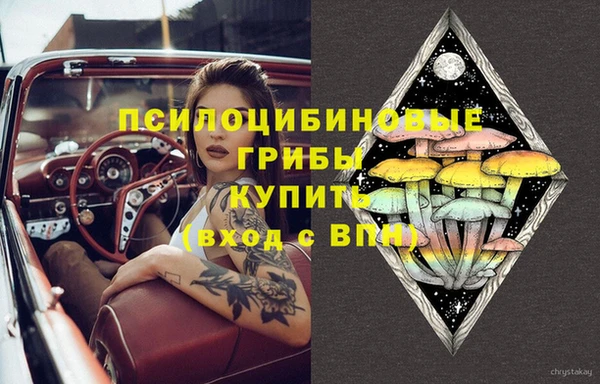 бошки Абаза