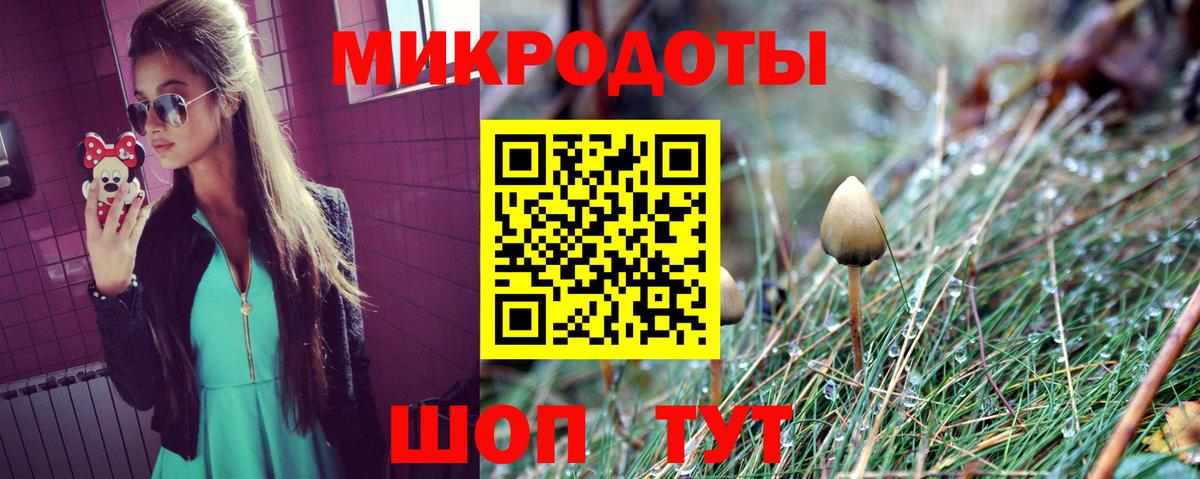 Галлюциногенные грибы Cubensis  где купить   Калининград  Вход с VPN 