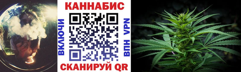 Бошки Шишки MAZAR  где найти   Калининград 